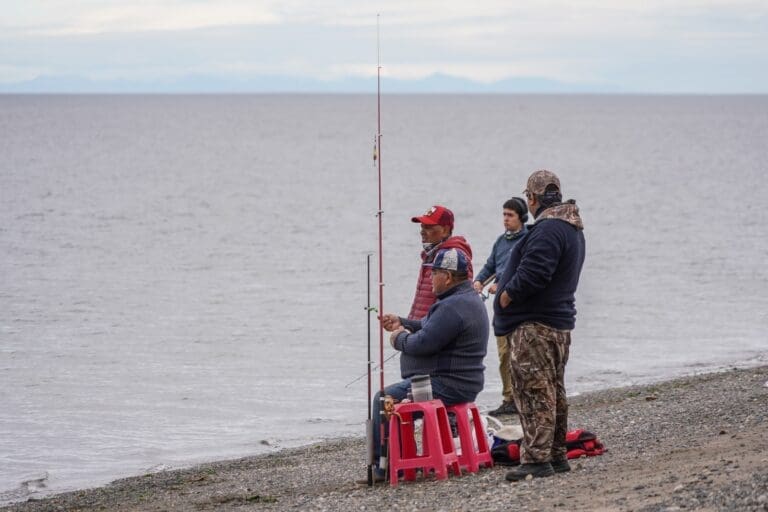 Nuevo proyecto de ley pesca amenaza sostenibilidad y turismo en Magallanes