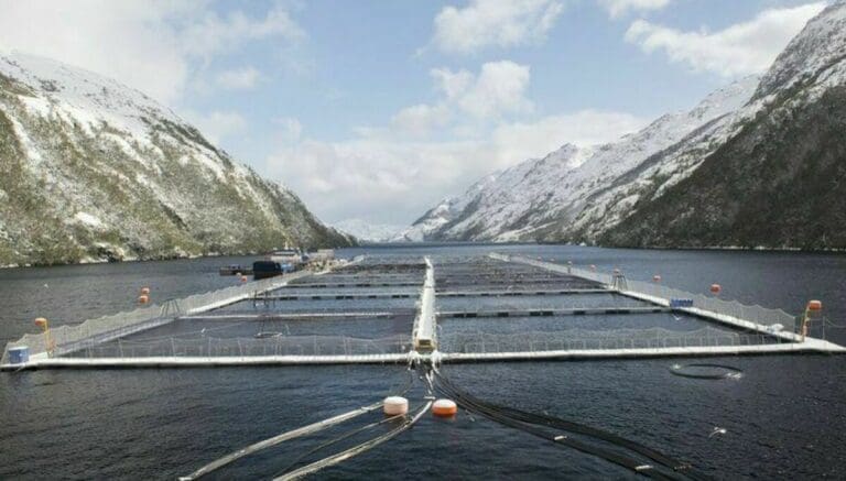 Primera condena en el caso Nova Austral: exgerente de producción sentenciado por contaminación de aguas y fraude