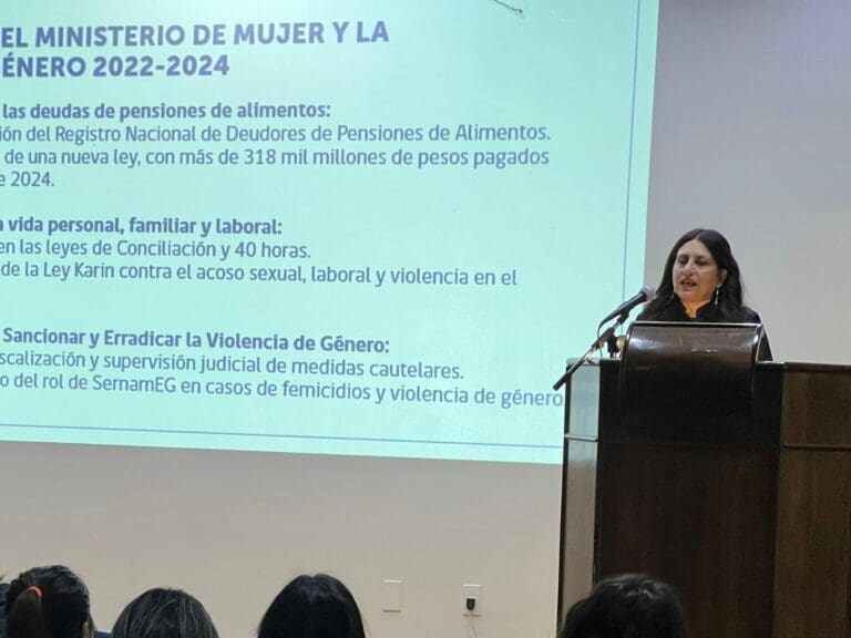 Se desarrolló exitosa capacitación sobre inclusión de la diversidad sexual y de género en Magallanes