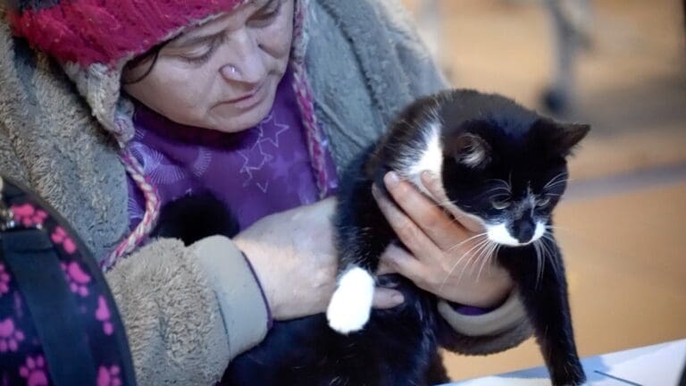 Se efectuó con éxito jornada veterinaria para gatos en Punta Arenas
