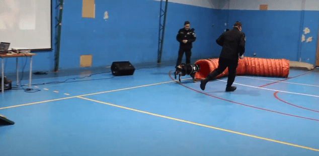 Especial encuentro de niños de la Escuela Hernando de Magallanes con el Equipo de Canes Adiestrados de Gendarmería