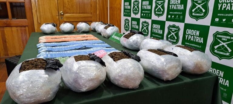 Golpe al narcotráfico en Magallanes: incautan 14 kilos de marihuana provenientes de Puerto Montt