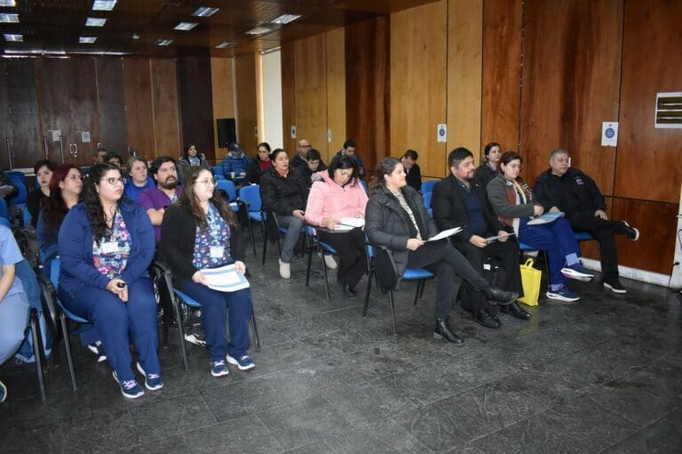 Se efectuó jornada de articulación del Programa de Salud Escolar (PAISE) en Punta Arenas