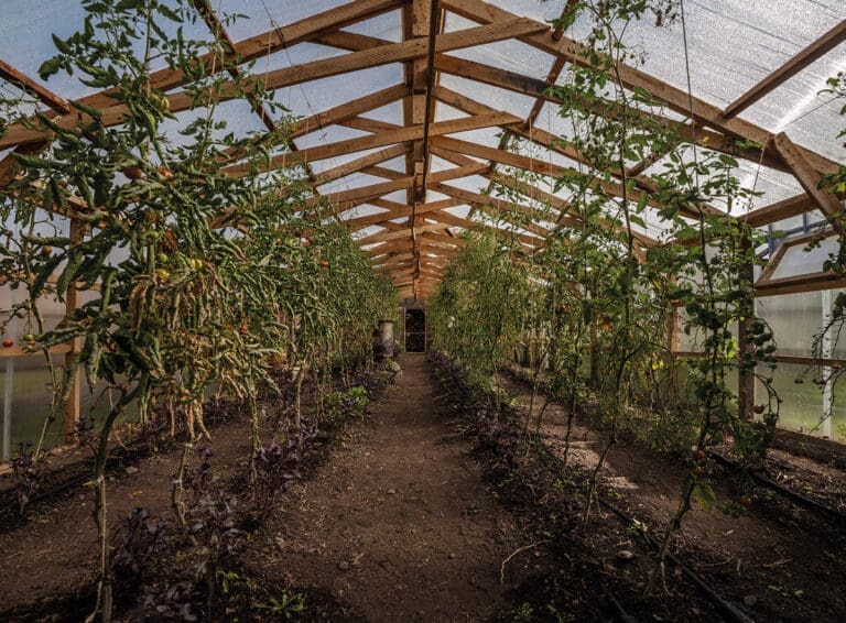 Hotel Las Torres impulsa proyecto agroecológico innovador en Torres del Paine