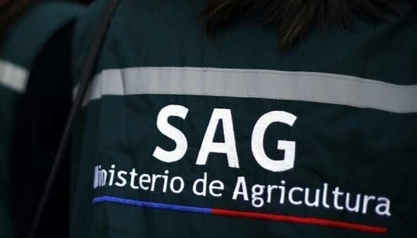 SAG Magallanes hace un llamado a la comunidad para conocer y respetar la Ley de Caza