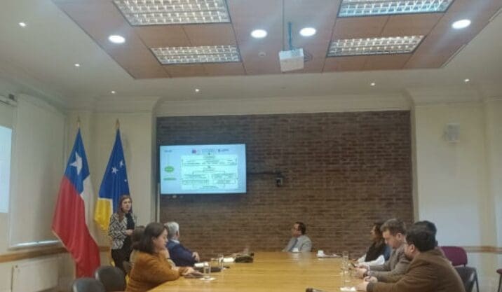 Empresas de hidrógeno verde se reúnen con Gore y Corfo para discutir avances en evaluación ambiental