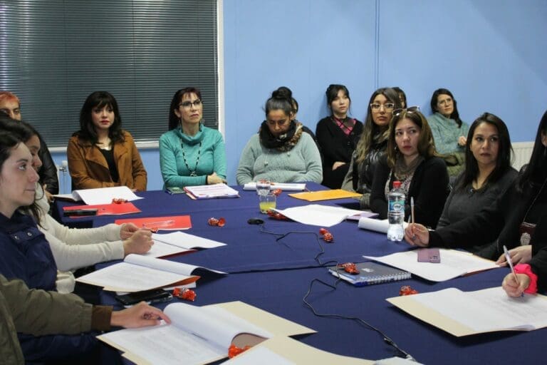 Se desarrolló primera Mesa Provincial de Equidad de Género: avances y compromisos en Última Esperanza