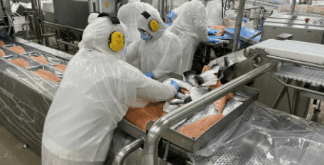 Asociación de Salmonicultores de Magallanes resalta el aporte de la industria al PIB regional