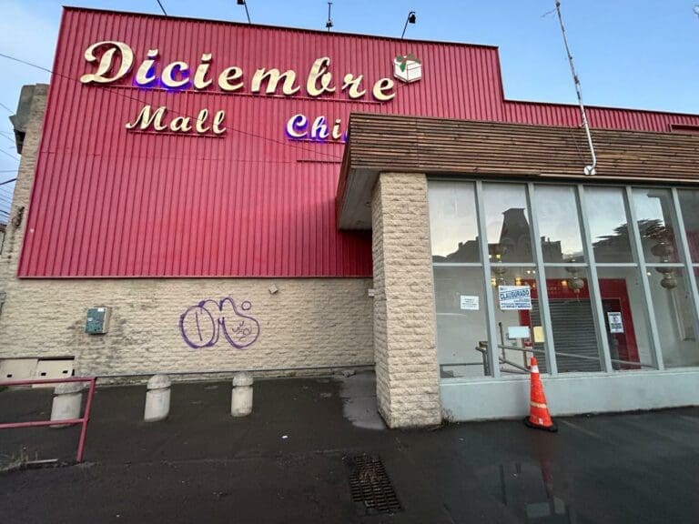 Mall Chino de Punta Arenas clausurado por 10 días por no emitir boletas