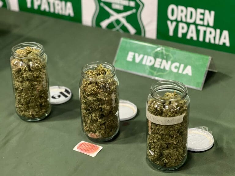 Incautan marihuana en encomienda detectada por can de OS7 en Punta Arenas
