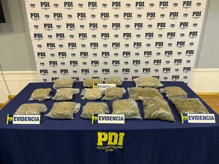 Desarticulada red de narcotráfico en Punta Arenas: se incautan 35 kilos de drogas y se detienen siete personas