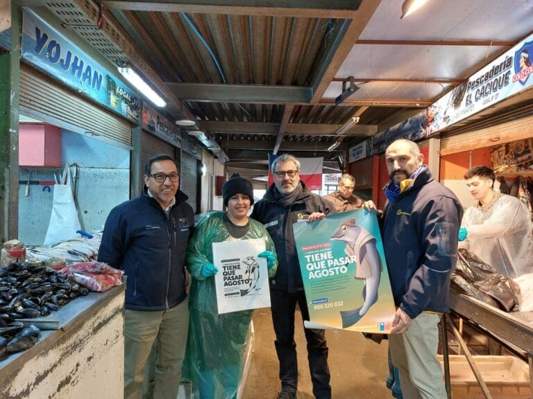 Sernapesca lanza campaña de veda para la merluza austral: 