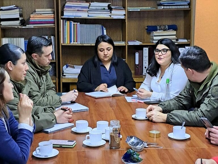 Magallanes refuerza la coordinación intersectorial para combatir la violencia de género