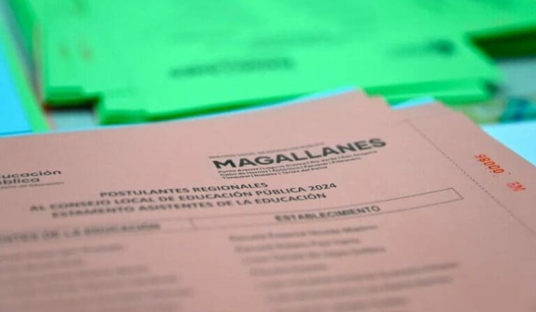 Magallanes celebra elecciones inéditas para el Consejo Local de Educación Pública
