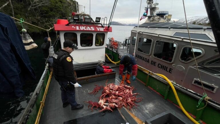 Armada de Chile incauta cerca de 60kg de centolla en operativo de fiscalización en Puerto Williams
