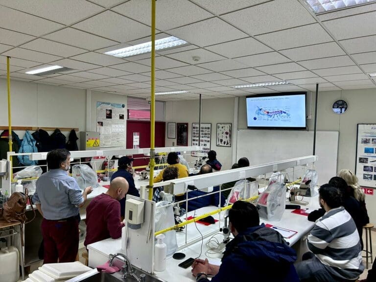 Veinte profesionales participan en capacitación para el Sistema Internacional de Observación Científica en la Antártica