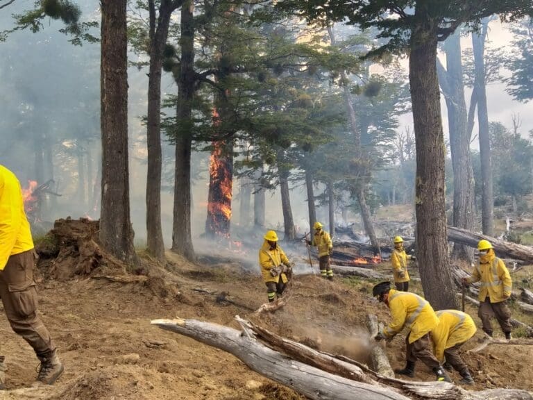 Punta Arenas será sede del VI Seminario Internacional sobre Cambio Climático e Incendios Forestales