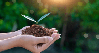 Lanzan concurso del Fondo de Protección Ambiental 2025 en Magallanes