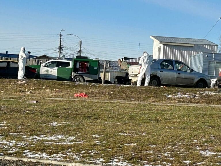 Robo con violencia en Punta Arenas: dos detenidos con prontuario de 39 antecedentes penales
