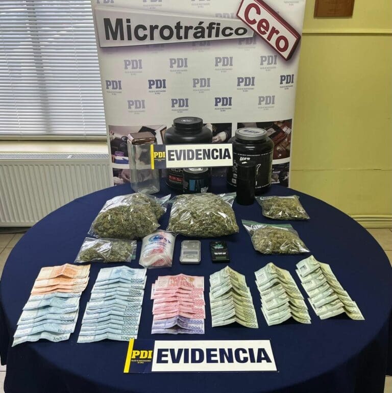 Desarticulan punto de venta de drogas en Punta Arenas: PDI incauta más de un kilo de cannabis y 22 plantas en crecimiento