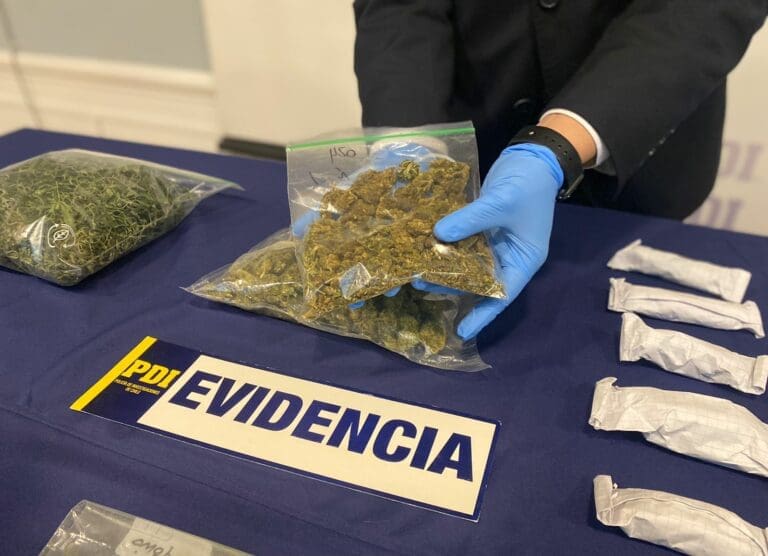 PDI incauta más de 7 millones de pesos en cannabis sativa en Punta Arenas