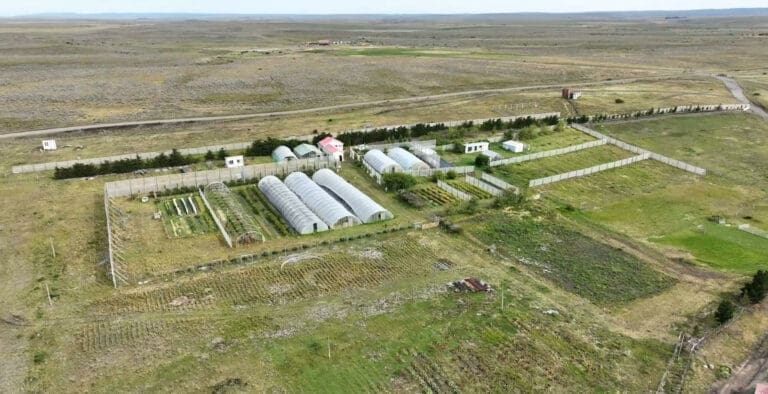 ProChile y Seremi de Agricultura lanzan convocatoria para el Concurso Silvoagropecuario 2025