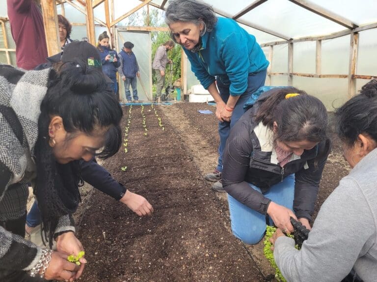 Celebración del Día de las Campesinas y Campesinos: un reconocimiento a la agricultura familiar en Chile