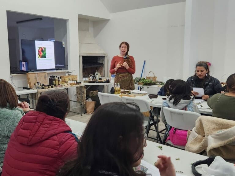 Promueven la medicina ancestral huilliche-mapuche en Punta Arenas para el bienestar físico, psicológico y social