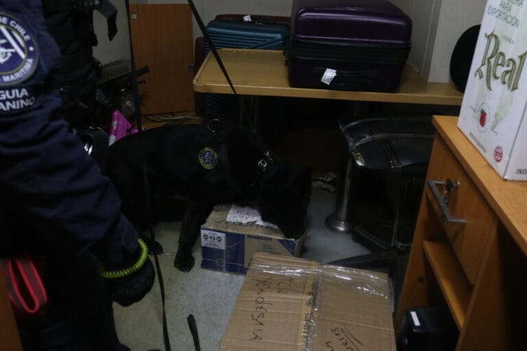 Se efectuó operativo preventivo en Fiestas Patrias: incautan drogas en encomienda con destino a Puerto Williams