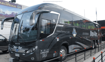 Bus Sur inicia la temporada alta 2024-2025 con nuevos destinos en Magallanes y Argentina