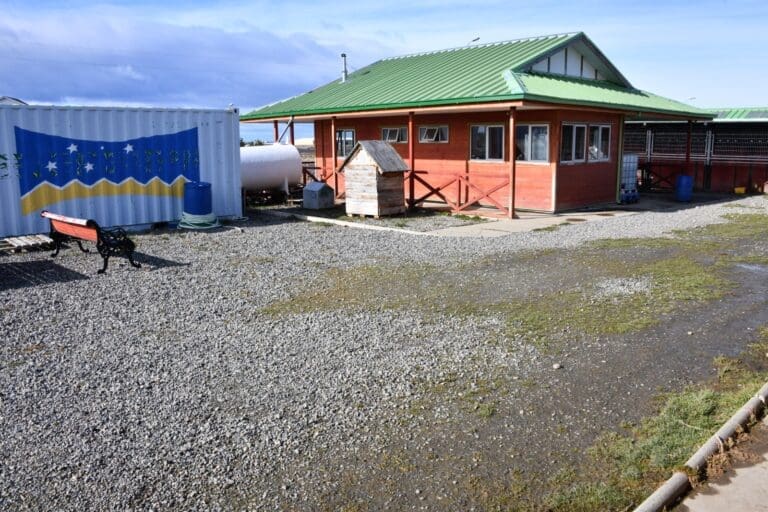 Punta Arenas presenta proyecto para mejorar la tenencia responsable de animales de compañía