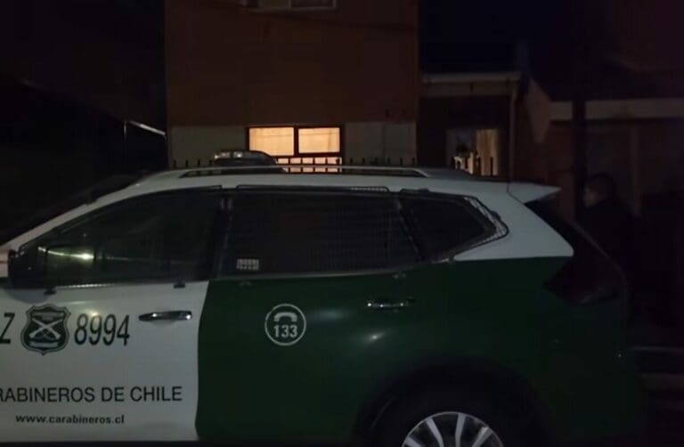 Cruel caso de maltrato en Punta Arenas: hombre pasa a control de detención por matar a golpes y acuchillar a un cachorro