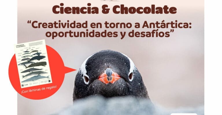 Vuelve el ciclo 