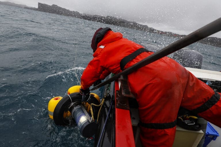 Impacto del viento en los ecosistemas marinos de la Antártica: estudio de la Universidad de Valparaíso