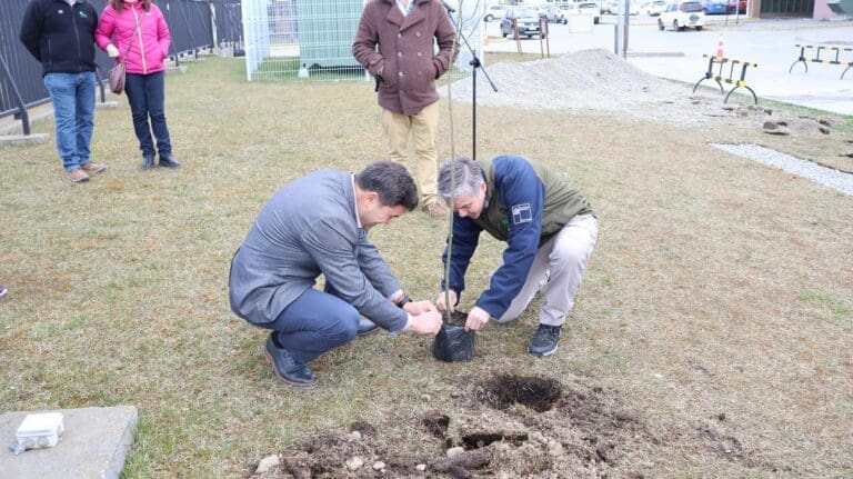 Hospital Clínico Magallanes inicia proyecto de arborización y mejora de áreas verdes