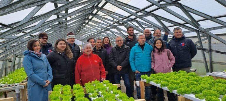 Ministerio de Agricultura y ProChile ven oportunidades en cultivos protegidos para la zona austral