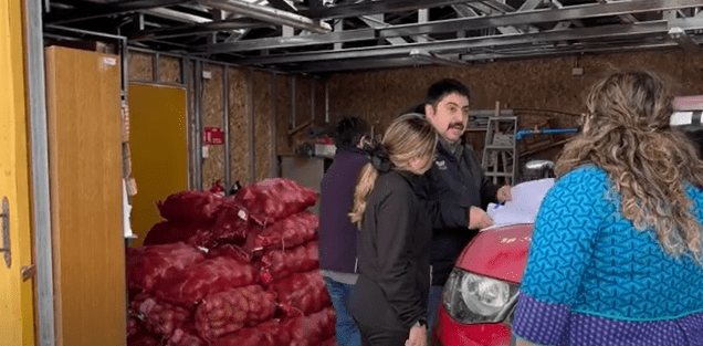 Pequeños productores de Porvenir reciben apoyo con entrega de papa semilla tras heladas