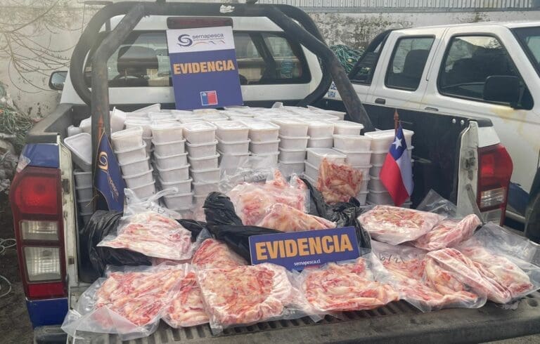 Incautan casi una tonelada de productos marinos en veda en restaurante de Punta Arenas