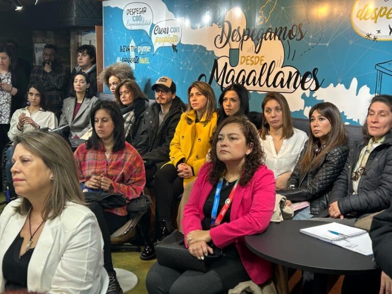 Más de 1.400 beneficiarios contempla programa de Corfo y Gore para el fomento productivo en Magallanes