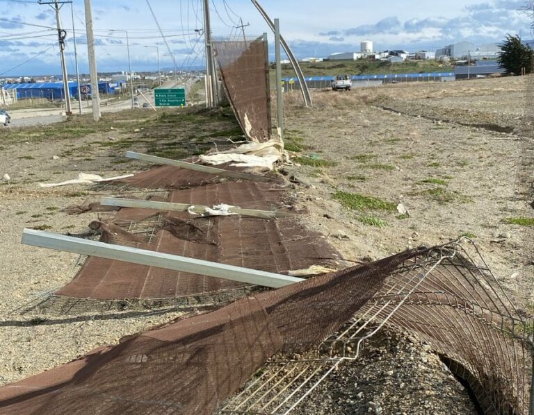 Temporal de viento provoca estragos en sectores de Punta Arenas