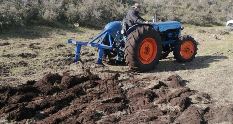 Agricultor fueguino da un paso hacia el desarrollo agrícola con apoyo de Indap