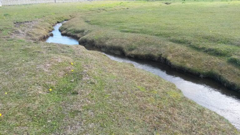 Invitan a jornada informativa sobre inscripción y regularización de derechos de agua en Porvenir