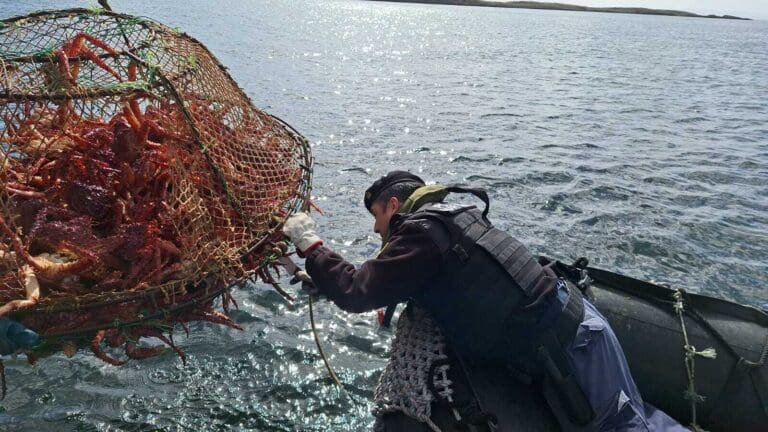 Sernapesca y Armada refuerzan fiscalización en la pesca de centolla en Magallanes