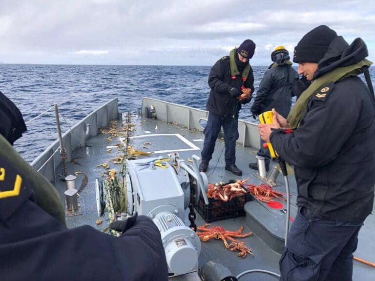Sernapesca y Armada realizan fiscalización en archipiélago de Wollaston y detectan uso de redes ilegales para capturar centolla