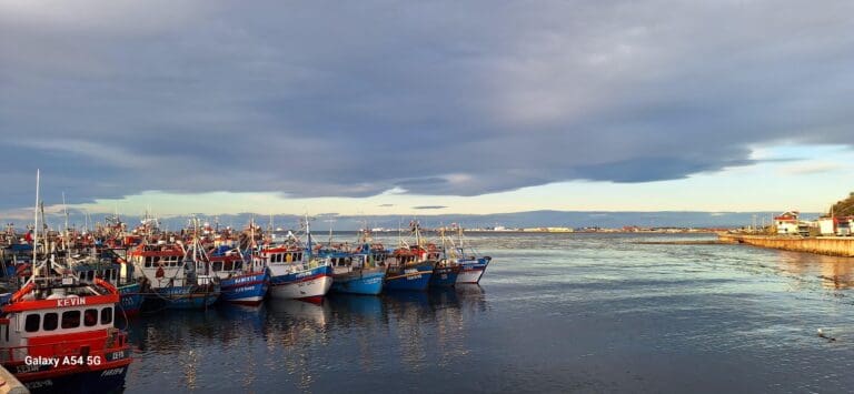 Corte de Apelaciones ratifica multa a armador de embarcación por infracciones a la Ley de Pesca y Acuicultura