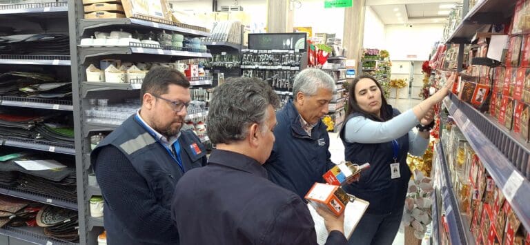 SEC intensifica fiscalización de guirnaldas navideñas en Magallanes para garantizar seguridad