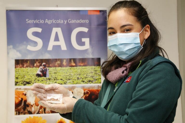 SAG informa sobre requisitos para compras navideñas en el extranjero