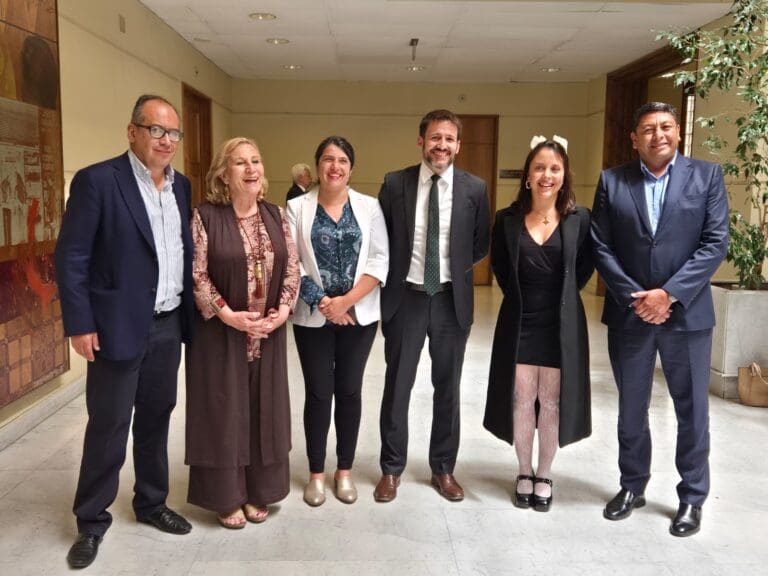 Ministerio de Energía promete mil paneles solares para hogares de Magallanes