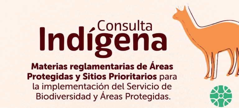 Ministerio del Medio Ambiente invita a pueblos indígenas a participar en Consulta Indígena sobre áreas protegidas