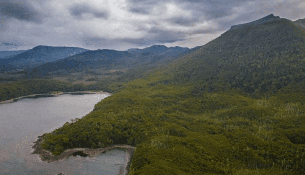 Fundación Rewilding Chile amplía donación para creación del Parque Nacional Cabo Froward